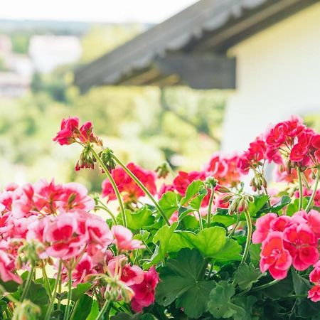 Landgasthaus Sonne Freudenstadt Zewnętrze zdjęcie