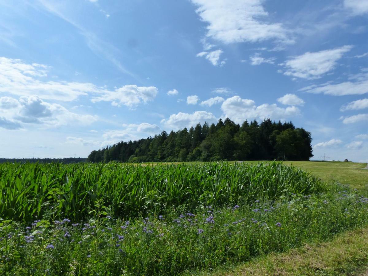 Landgasthaus Sonne Freudenstadt Zewnętrze zdjęcie